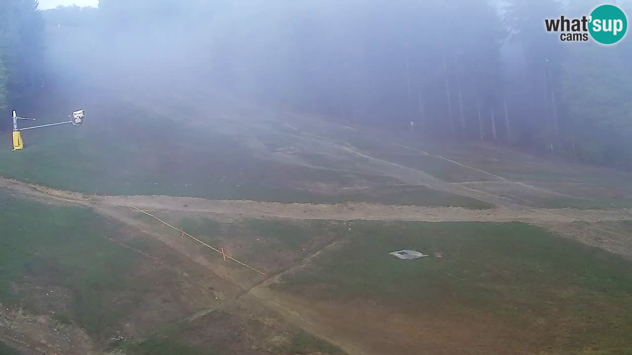 Webcam Pohorje Trikotna Jasa | Poštela