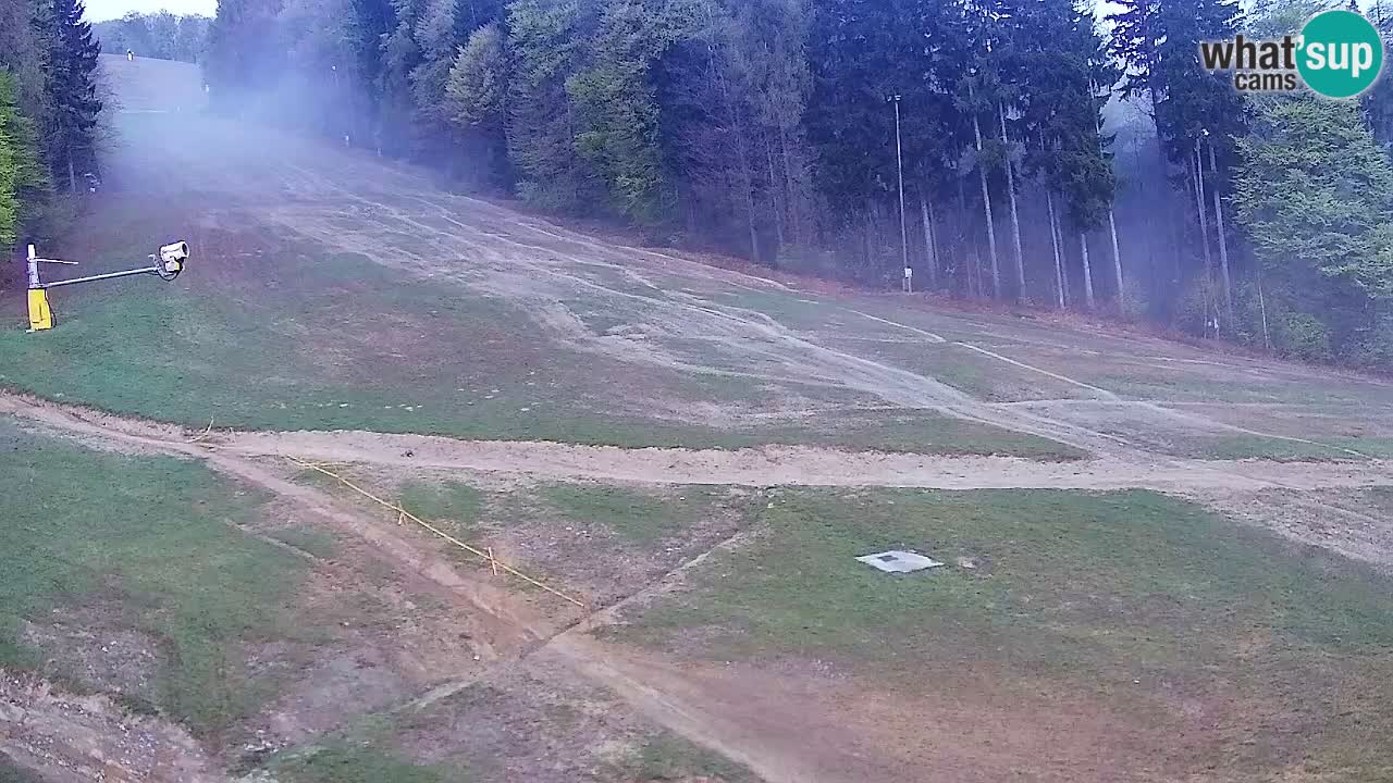 Webcam Pohorje Trikotna Jasa | Poštela