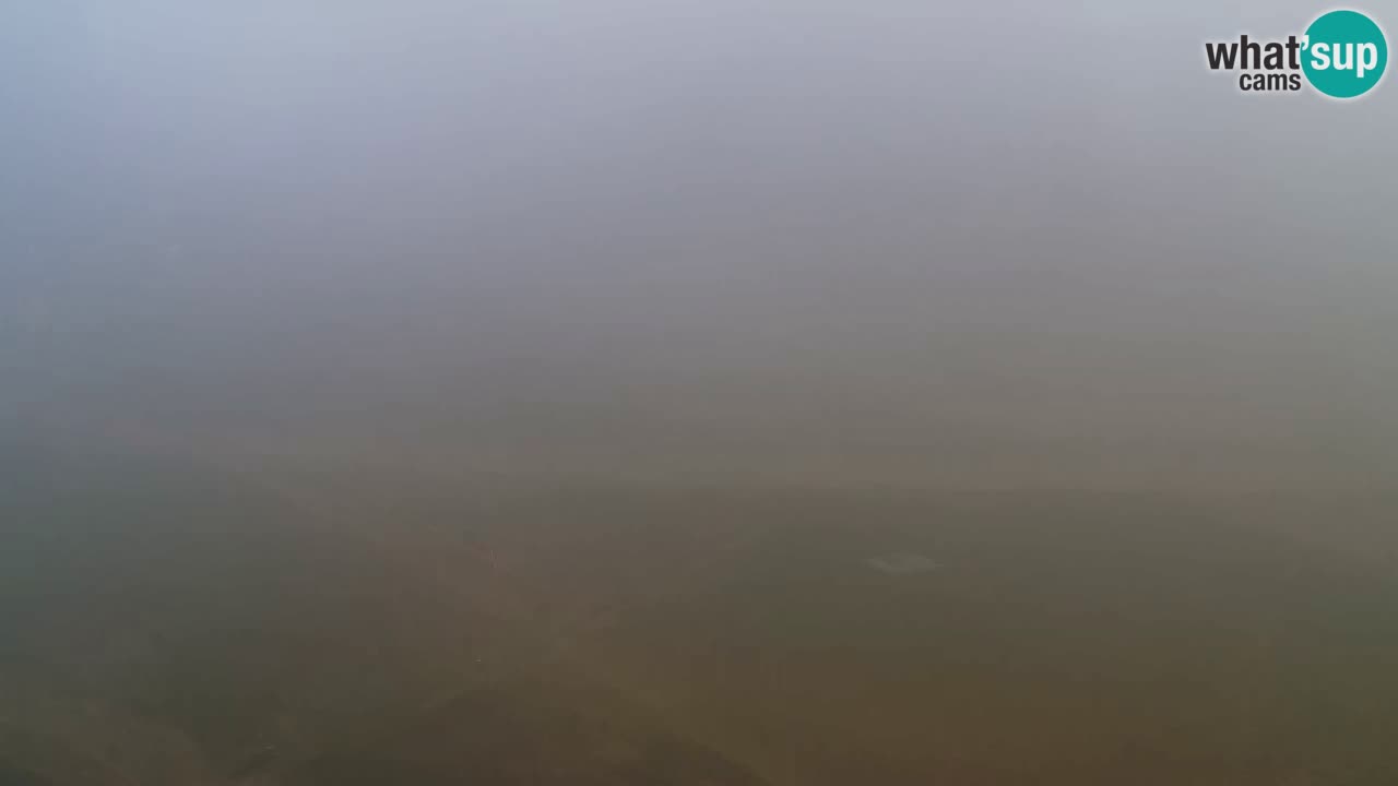 Web Camera Pohorje Trikotna Jasa | Poštela