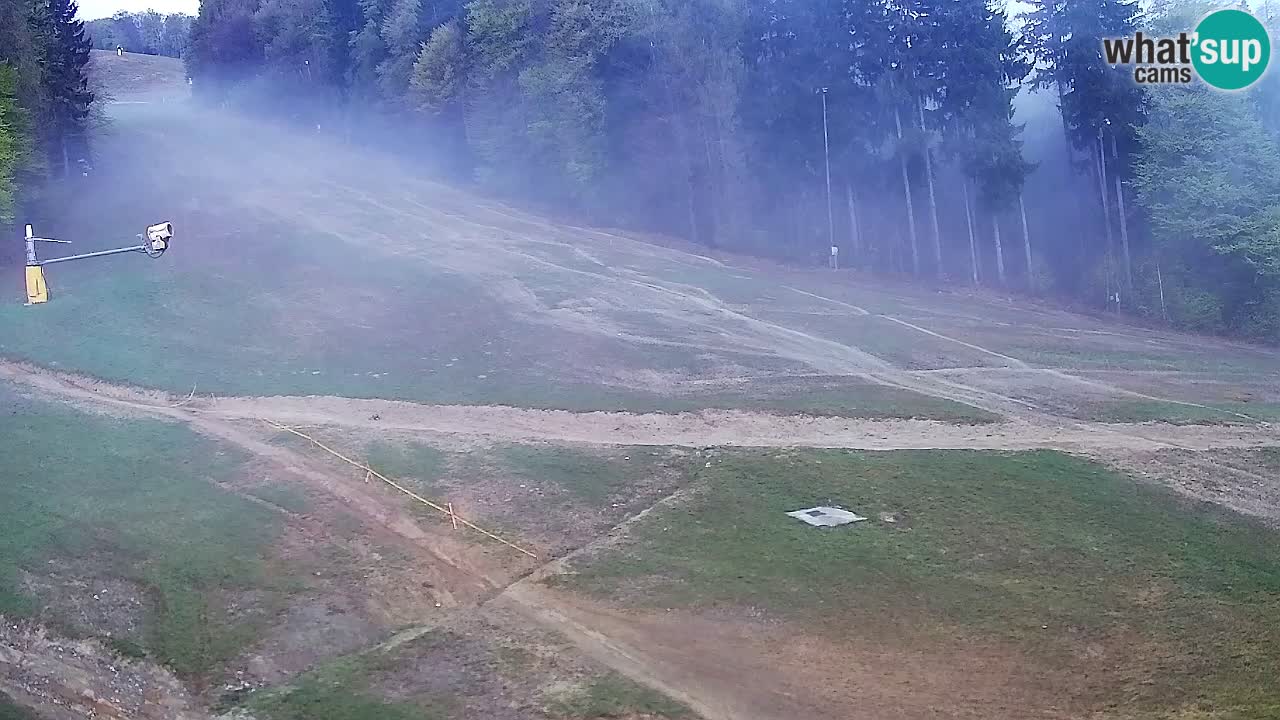 Webcam Pohorje Trikotna Jasa | Poštela