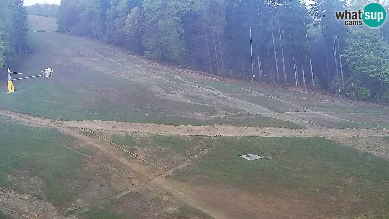 Web Camera Pohorje Trikotna Jasa | Poštela