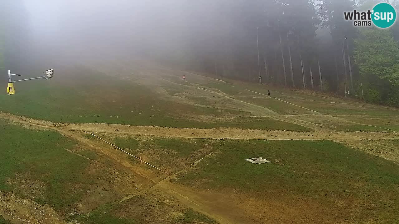 Webcam Pohorje Trikotna Jasa | Poštela