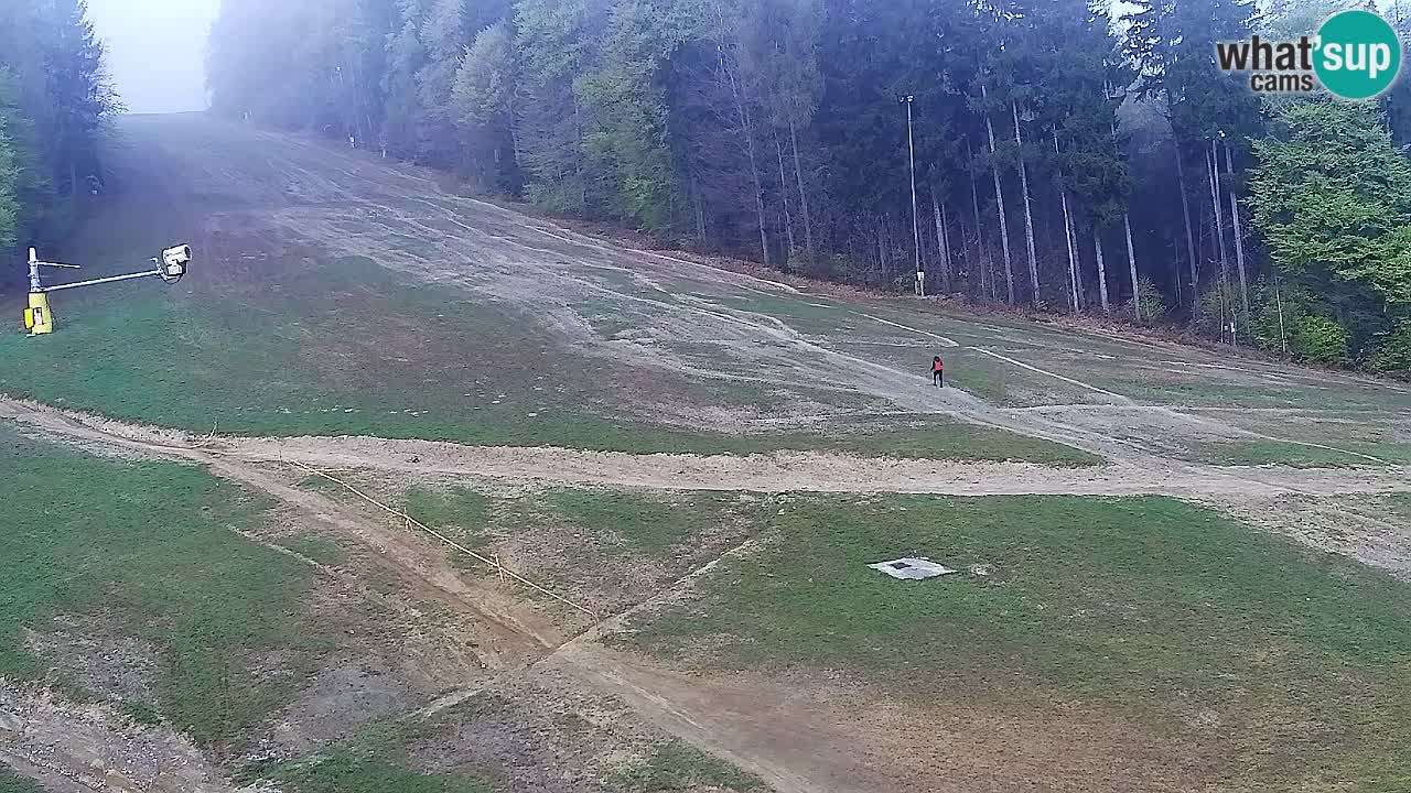 Web Camera Pohorje Trikotna Jasa | Poštela