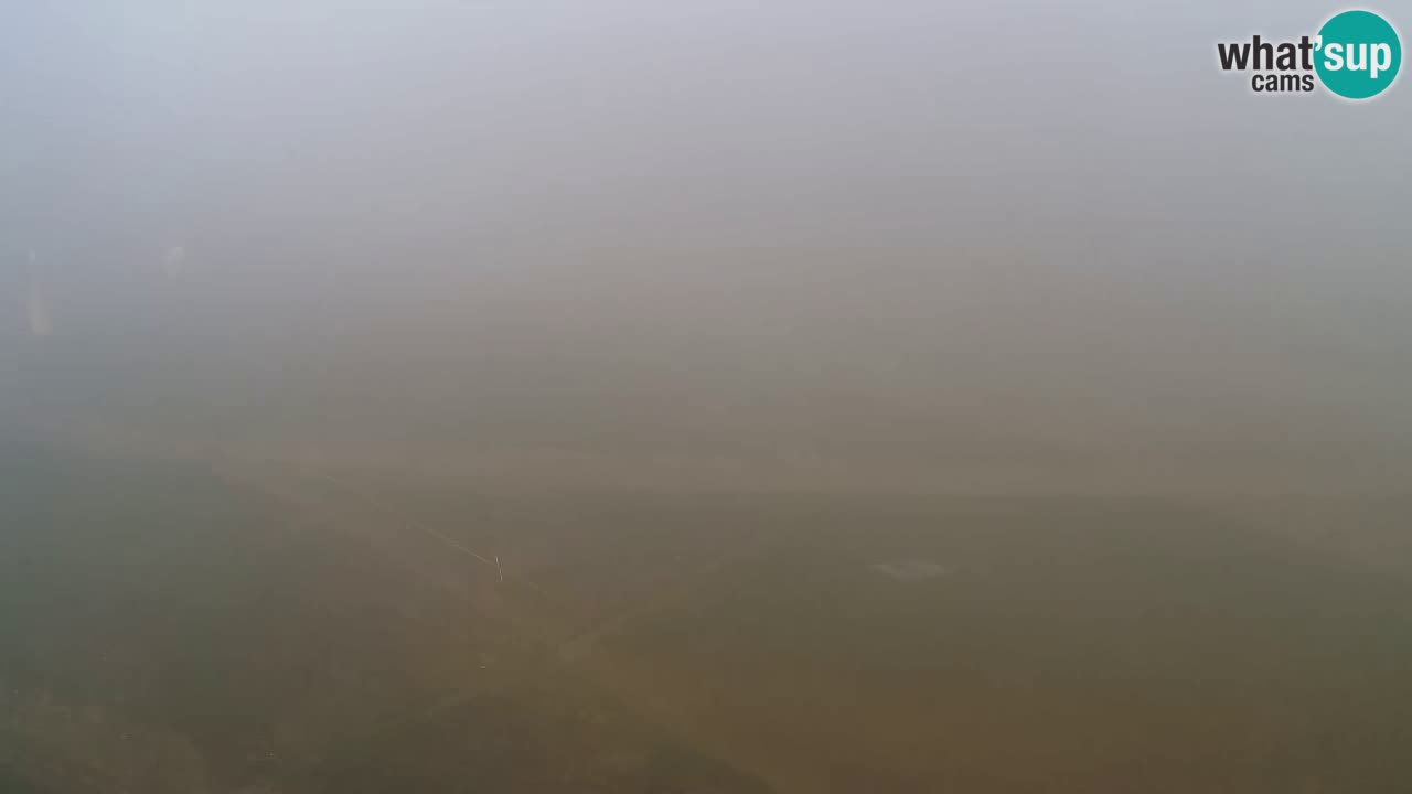 Webcam Pohorje Trikotna Jasa | Poštela