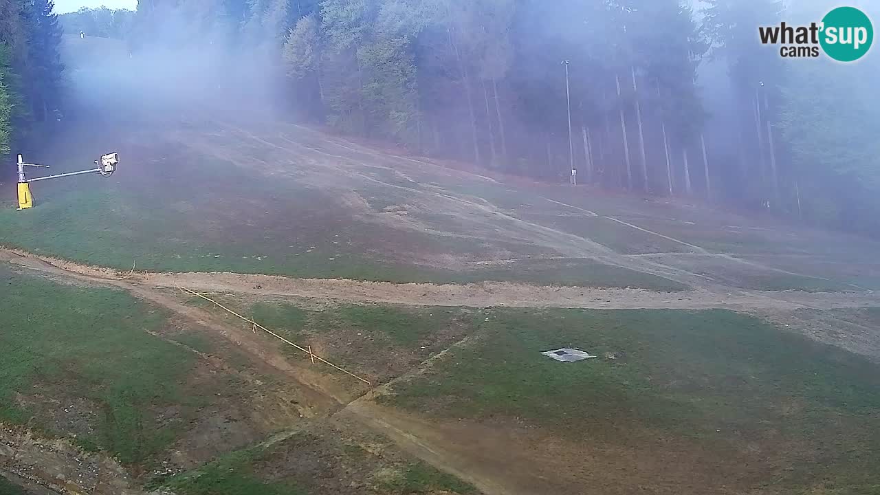 Webcam Pohorje Trikotna Jasa | Poštela