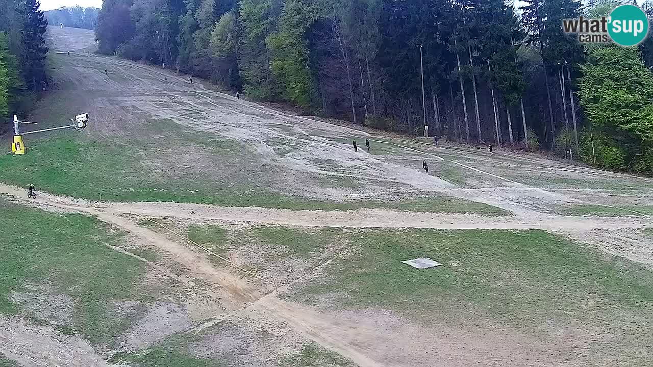 Webcam Pohorje Trikotna Jasa | Poštela