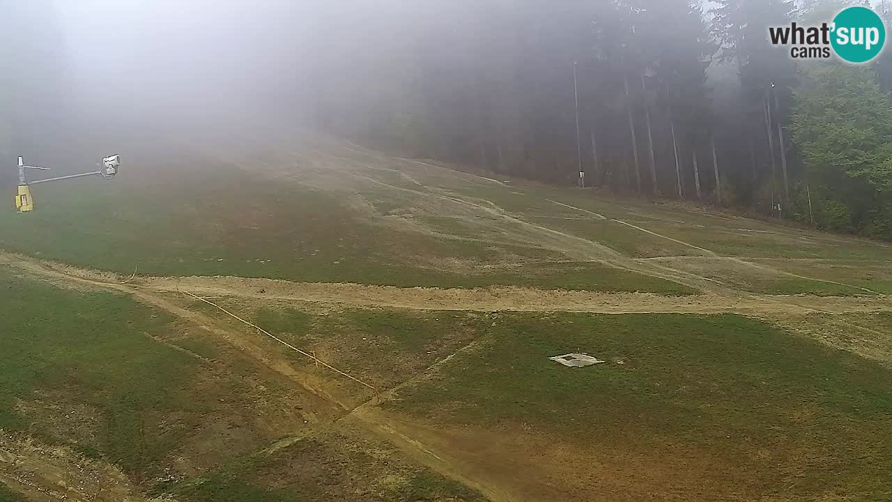 Web kamera Pohorje Trikotna Jasa | Poštela