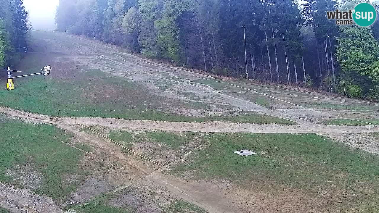 Webcam Pohorje Trikotna Jasa | Poštela