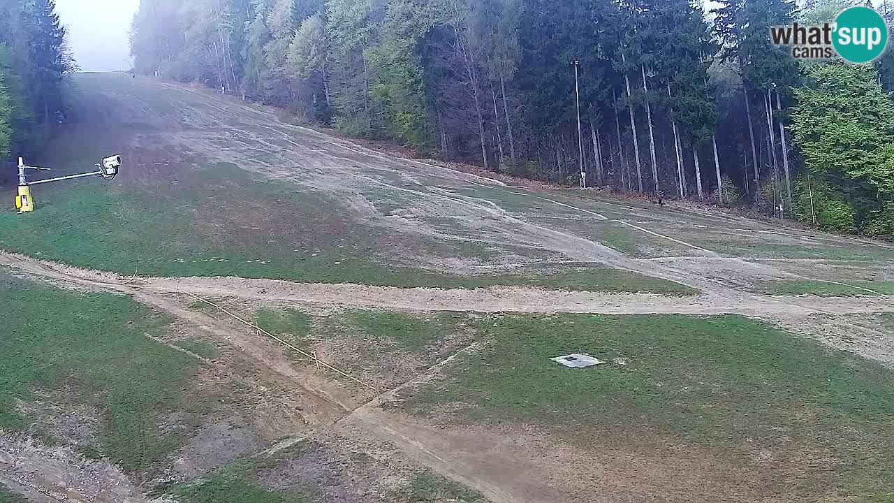 Webcam Pohorje Trikotna Jasa | Poštela