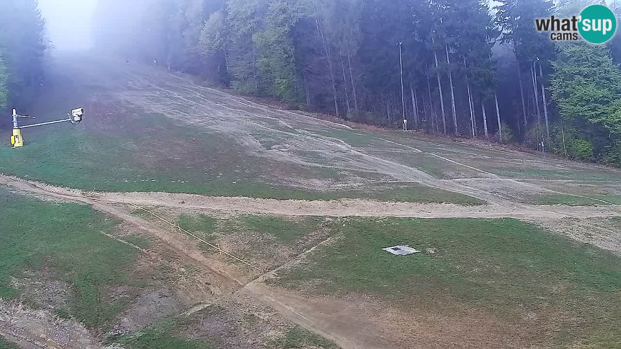 Web Camera Pohorje Trikotna Jasa | Poštela