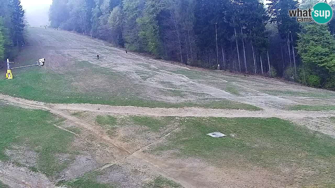 Webcam Pohorje Trikotna Jasa | Poštela