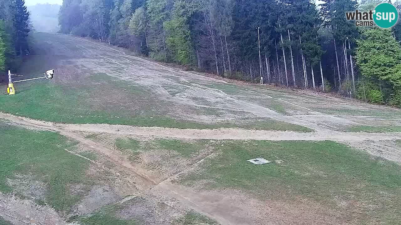 Webcam Pohorje Trikotna Jasa | Poštela