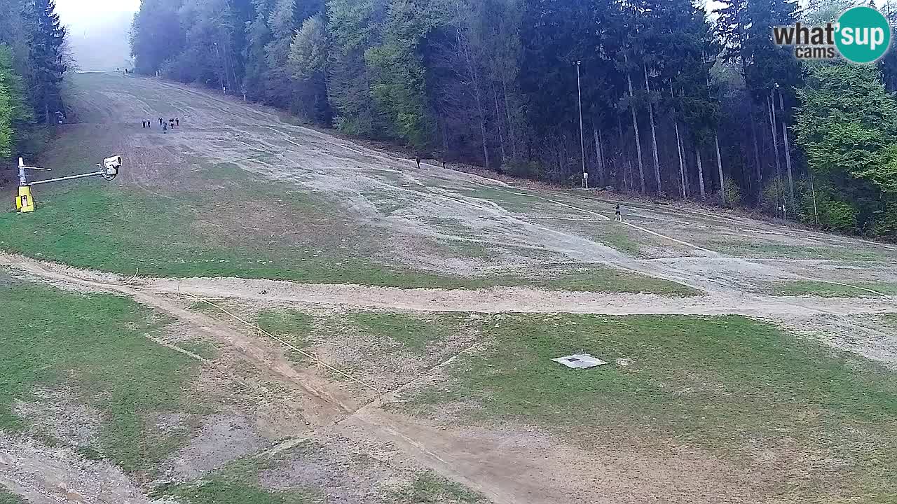 Web Camera Pohorje Trikotna Jasa | Poštela