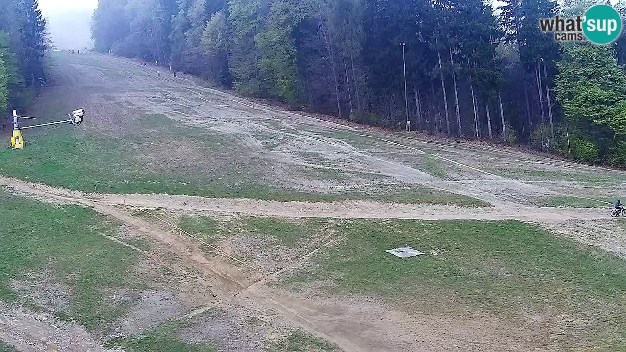 Web Camera Pohorje Trikotna Jasa | Poštela