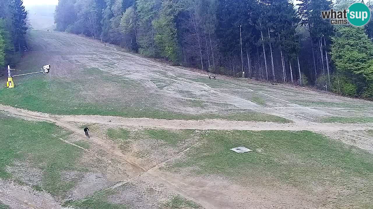 Web kamera Pohorje Trikotna Jasa | Poštela