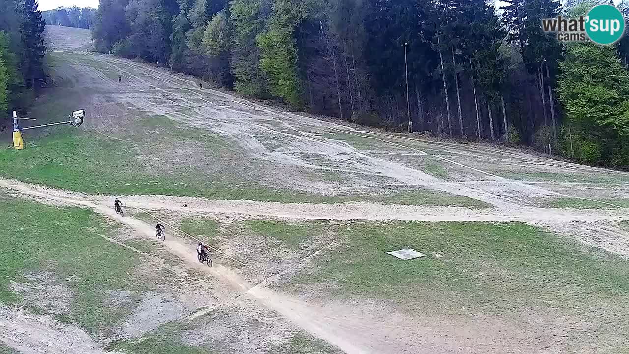 Webcam Pohorje Trikotna Jasa | Poštela