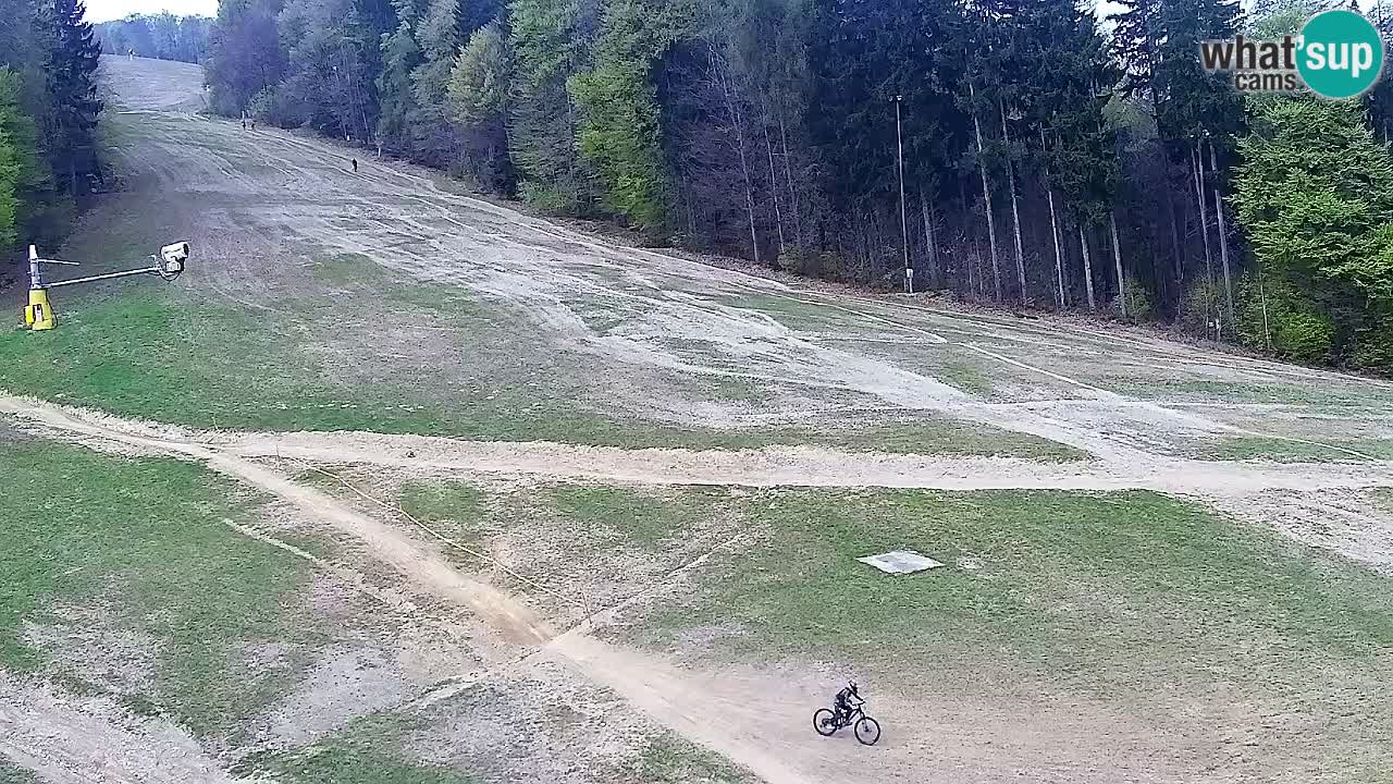 Webcam Pohorje Trikotna Jasa | Poštela