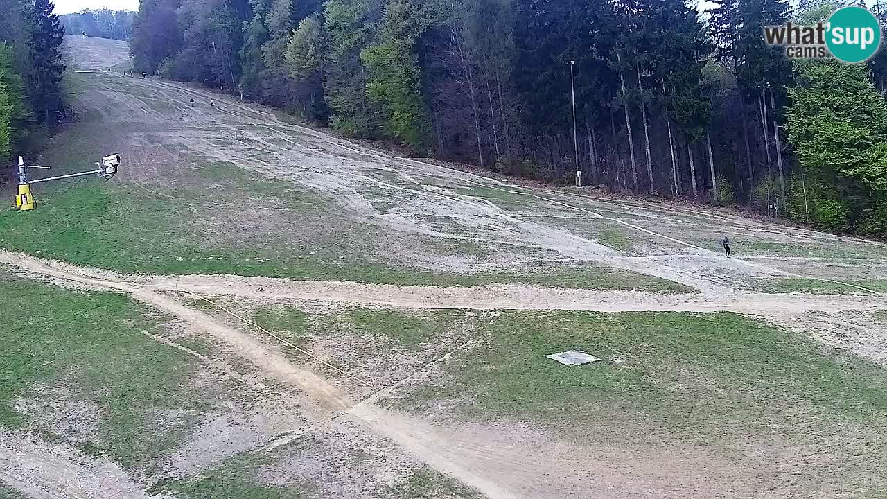 Webcam Pohorje Trikotna Jasa | Poštela