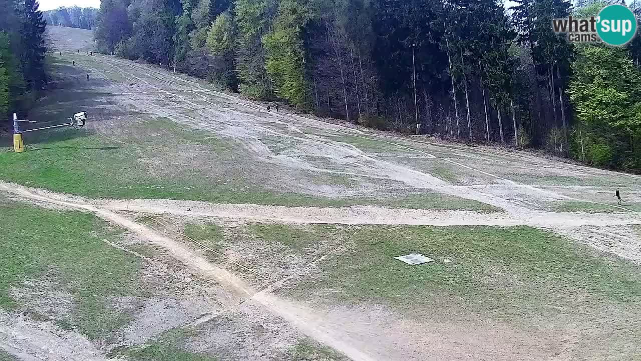 Webcam Pohorje Trikotna Jasa | Poštela