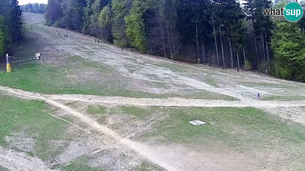 Webcam Pohorje Trikotna Jasa | Poštela