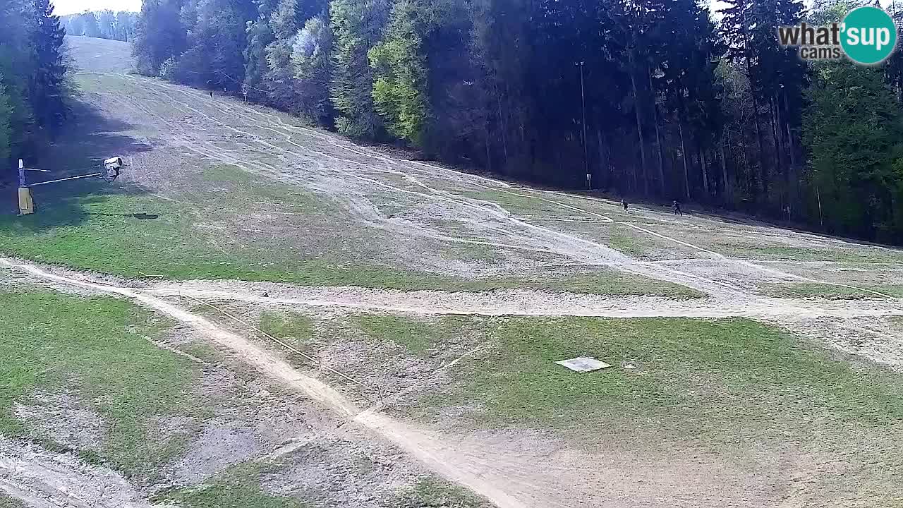 Web Camera Pohorje Trikotna Jasa | Poštela