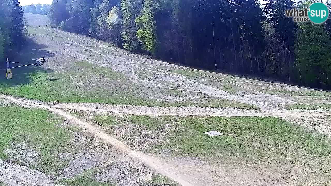 Webcam Pohorje Trikotna Jasa | Poštela