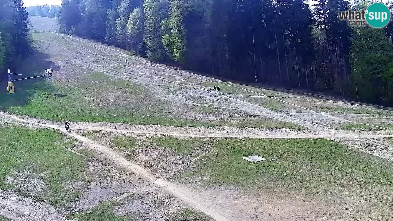 Web Camera Pohorje Trikotna Jasa | Poštela