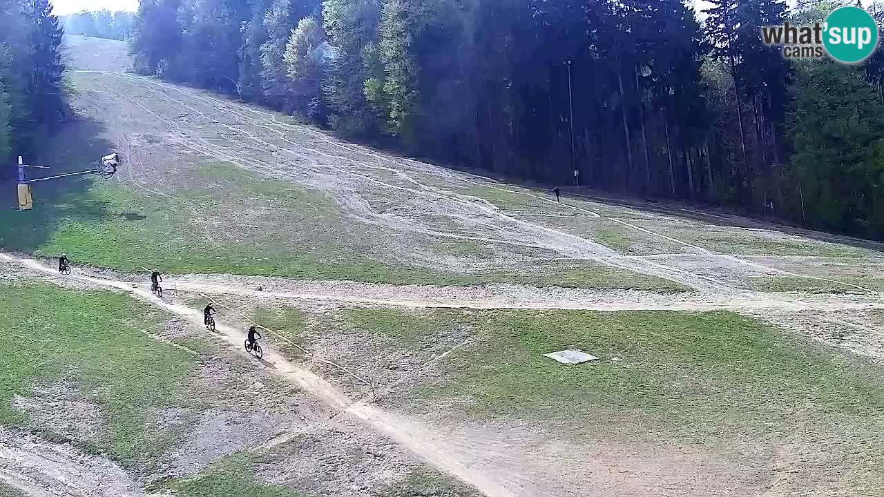 Webcam Pohorje Trikotna Jasa | Poštela