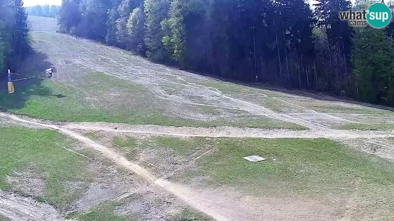Webcam Pohorje Trikotna Jasa | Poštela