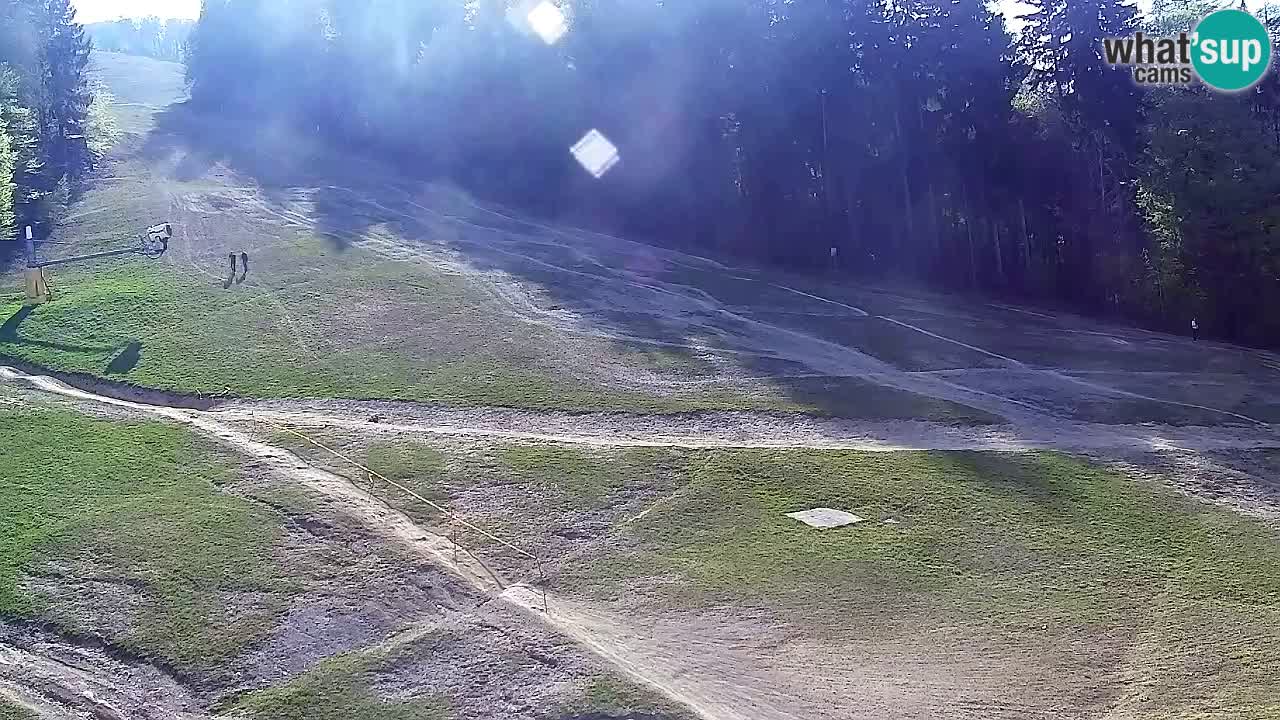 Web Camera Pohorje Trikotna Jasa | Poštela