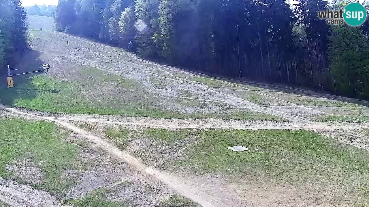 Webcam Pohorje Trikotna Jasa | Poštela