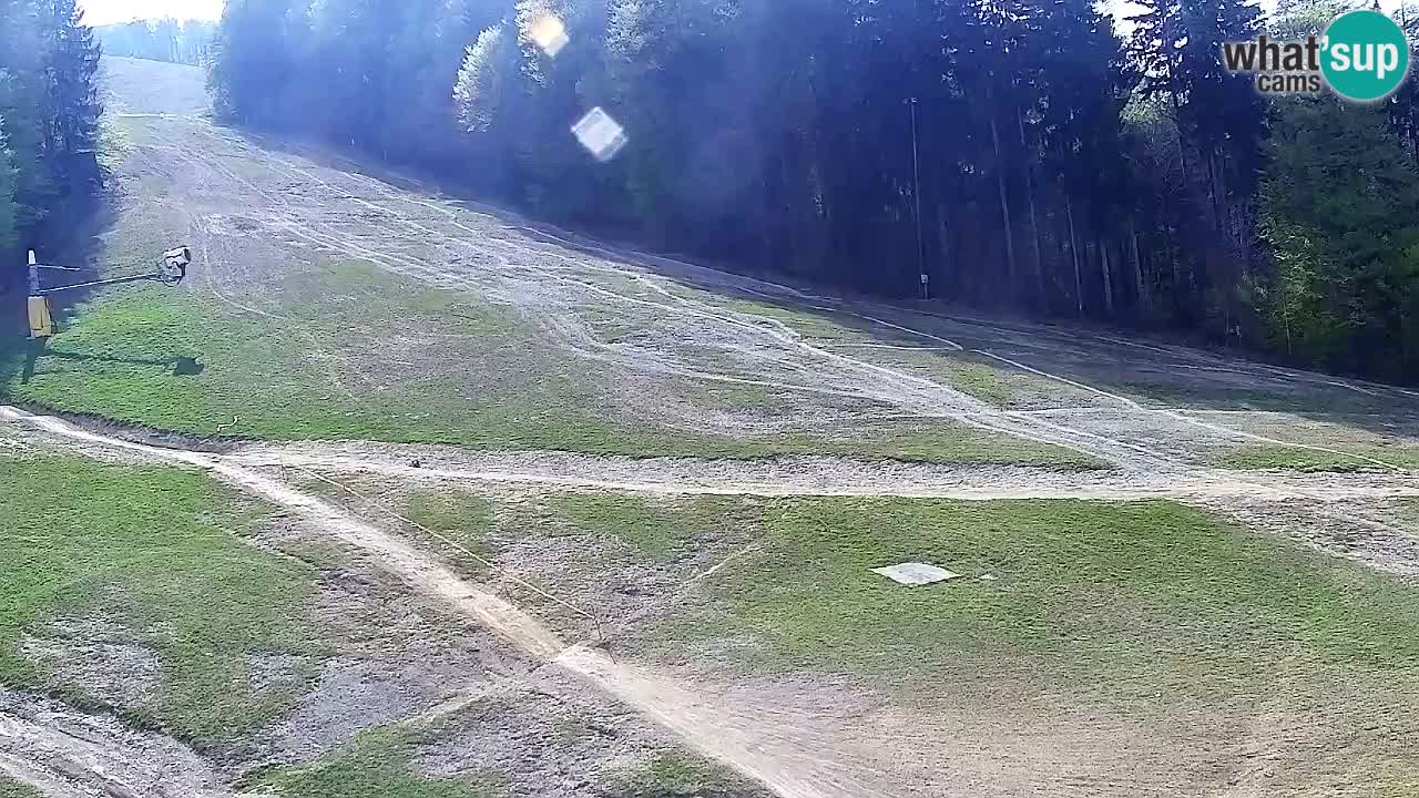 Webcam Pohorje Trikotna Jasa | Poštela