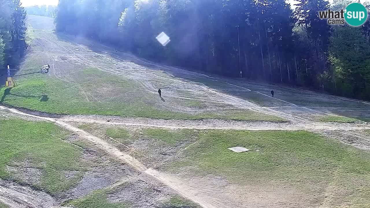 Webcam Pohorje Trikotna Jasa | Poštela