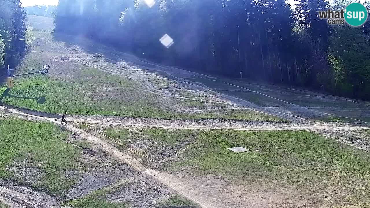 Webcam Pohorje Trikotna Jasa | Poštela