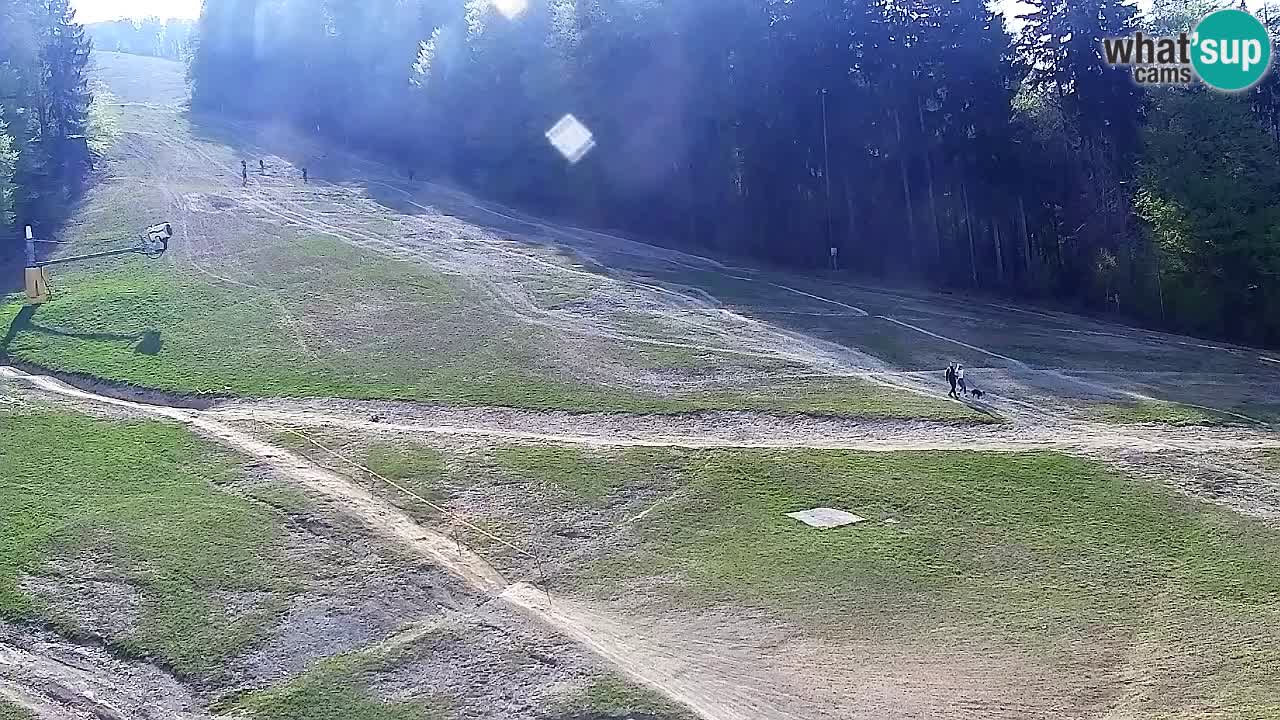 Webcam Pohorje Trikotna Jasa | Poštela