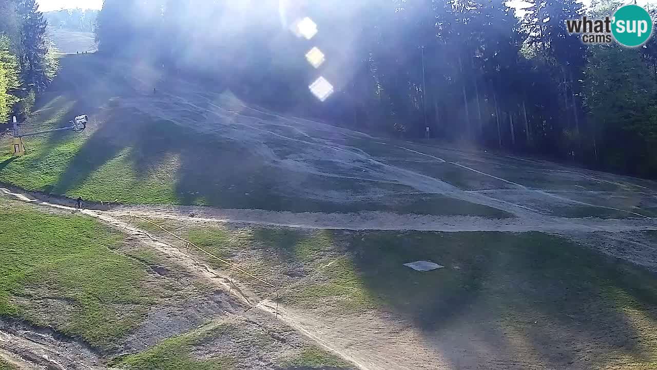 Web kamera Pohorje Trikotna Jasa | Poštela