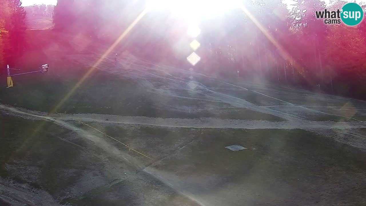 Webcam Pohorje Trikotna Jasa | Poštela