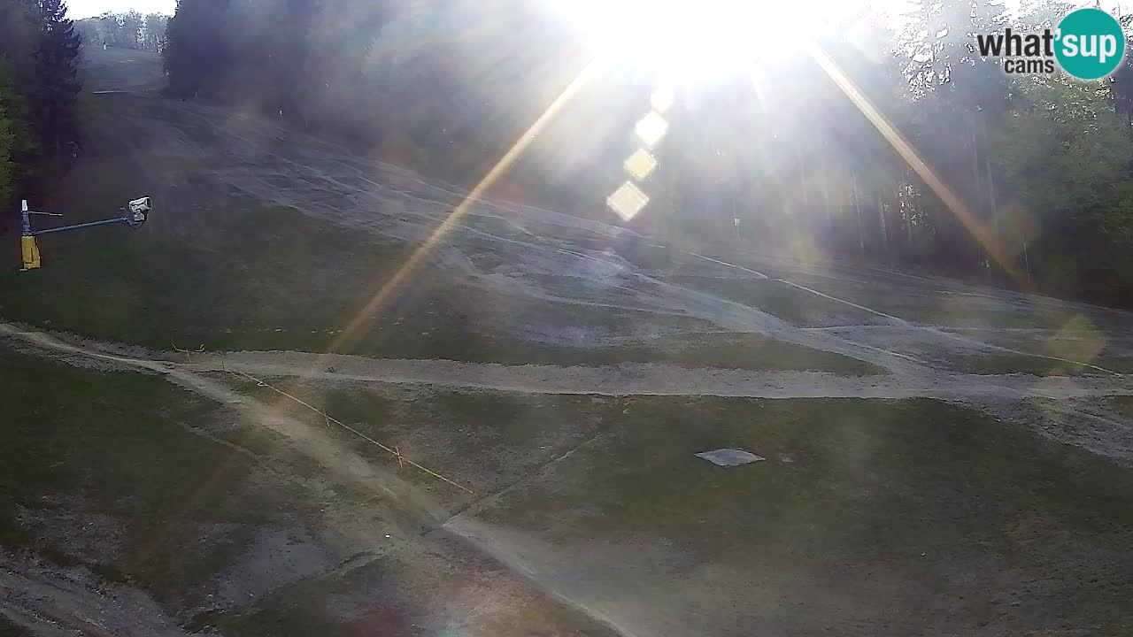 Webcam Pohorje Trikotna Jasa | Poštela