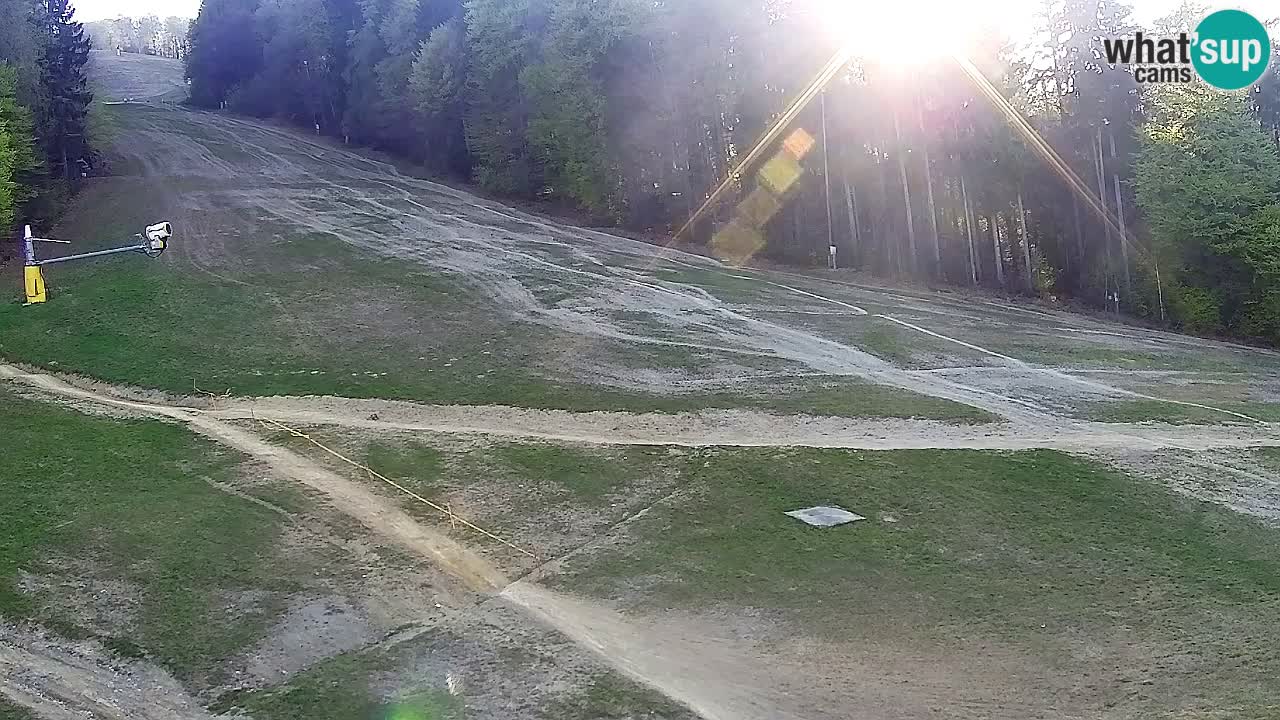 Webcam Pohorje Trikotna Jasa | Poštela