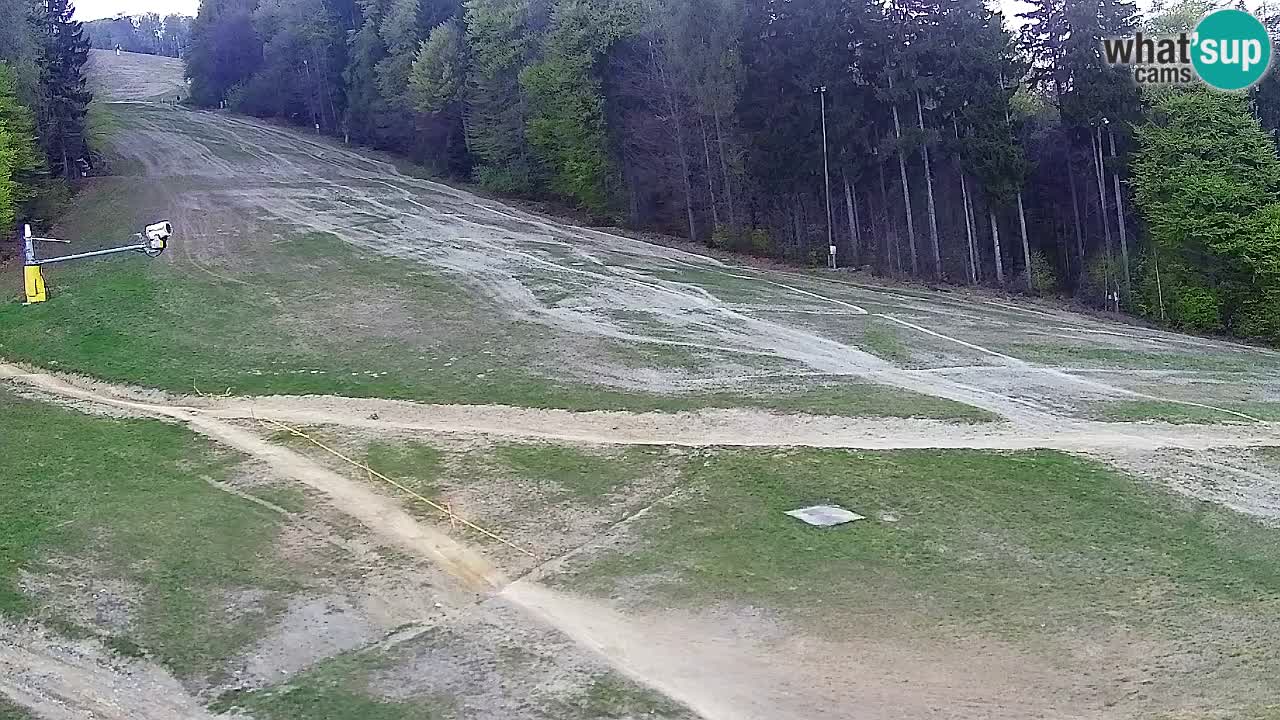 Webcam Pohorje Trikotna Jasa | Poštela