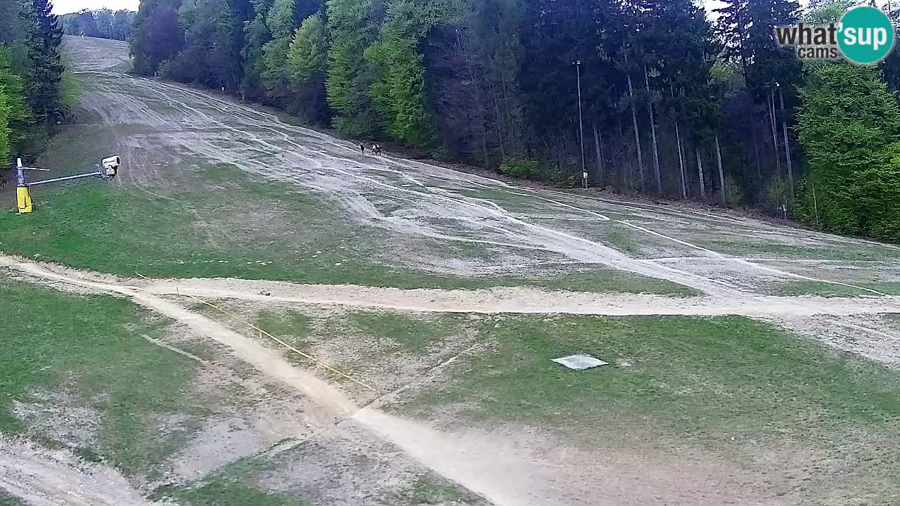 Webcam Pohorje Trikotna Jasa | Poštela