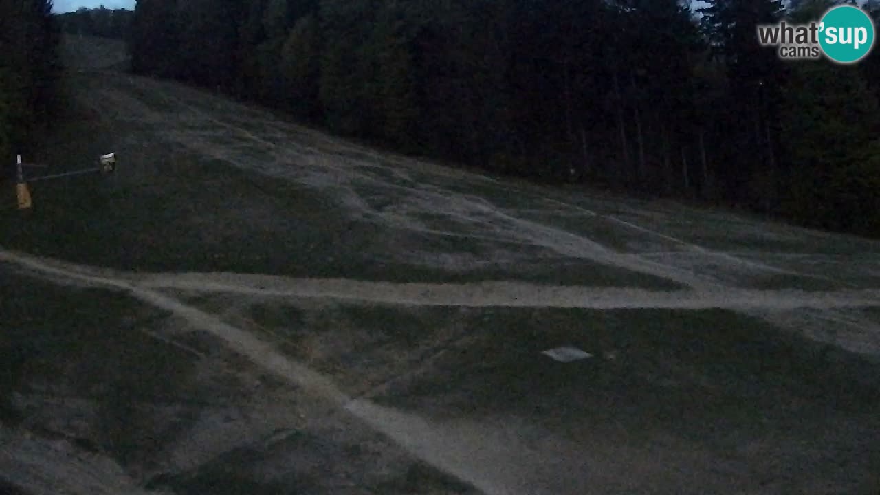 Web kamera Pohorje Trikotna Jasa | Poštela