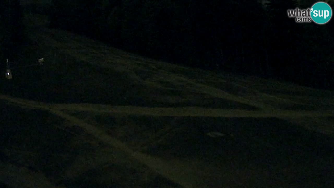 Web kamera Pohorje Trikotna Jasa | Poštela