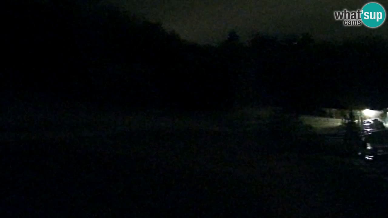 Webcam Pohorje Trikotna Jasa | Poštela