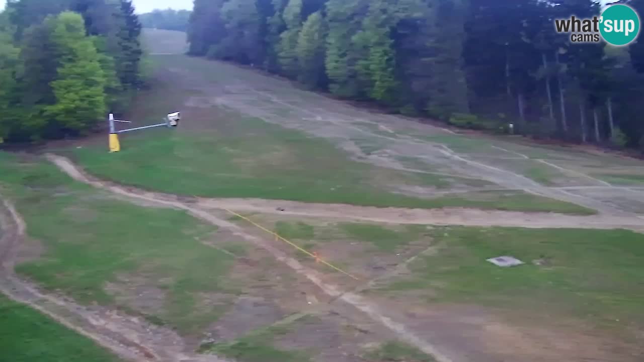 Webcam Pohorje Trikotna Jasa | Poštela