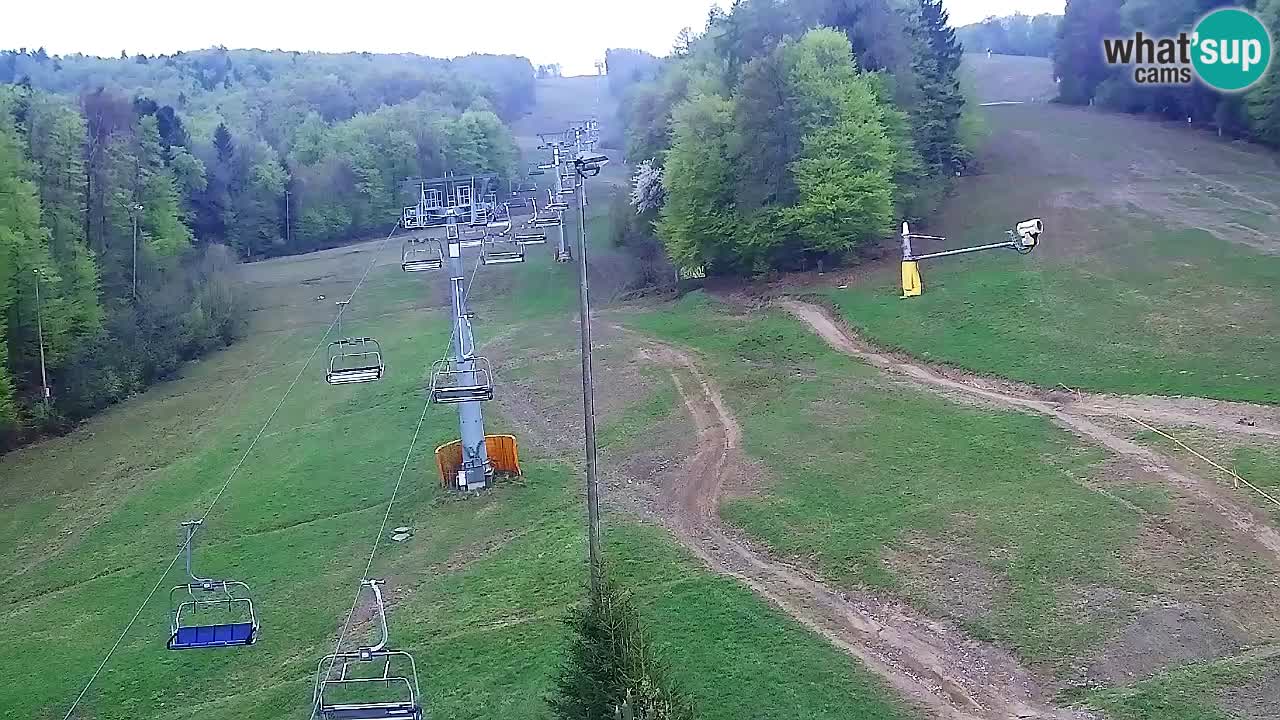 Web kamera Pohorje Trikotna Jasa | Poštela