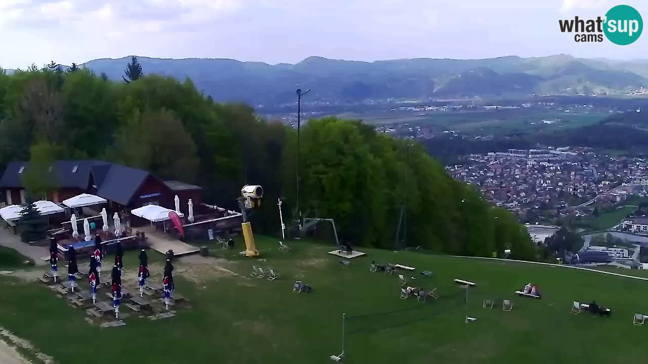 Webcam Pohorje Trikotna Jasa | Poštela
