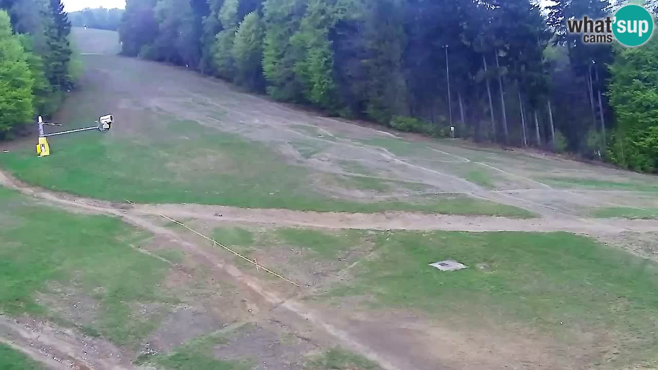 Spletna Kamera Pohorje Trikotna Jasa | Poštela