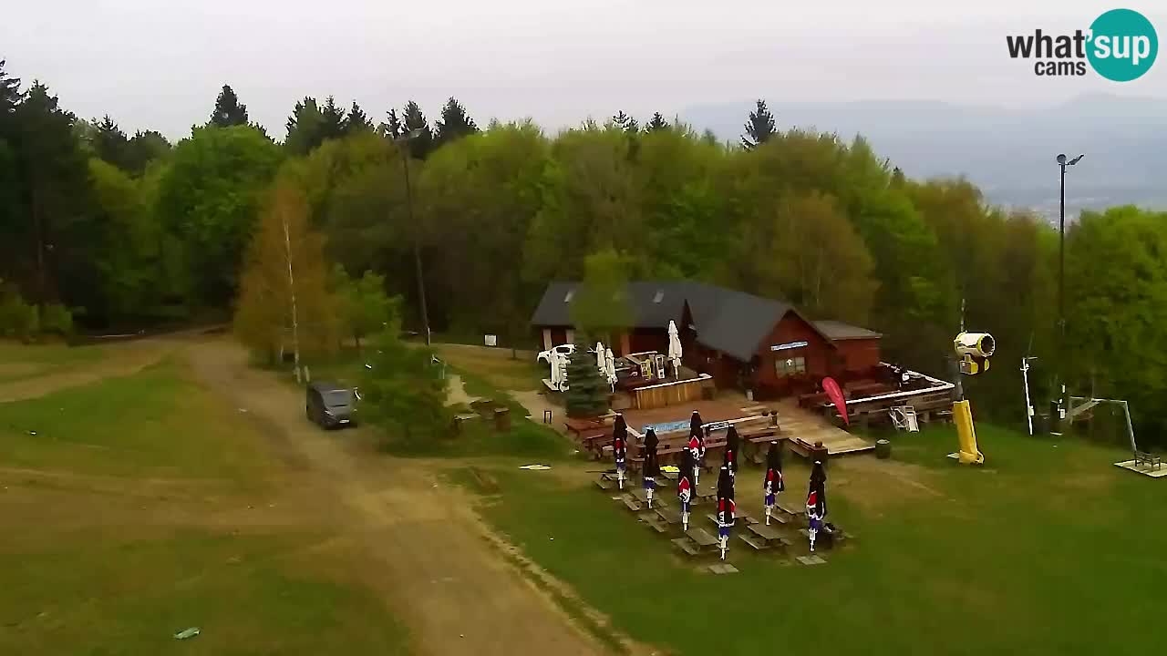 Webcam Pohorje Trikotna Jasa | Poštela