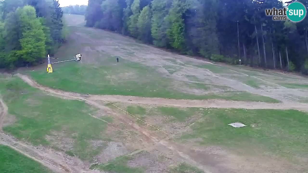 Spletna Kamera Pohorje Trikotna Jasa | Poštela